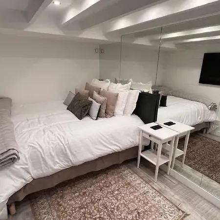 Rooftop Garden Triplex With Ac Over Notre - Dame Parigi