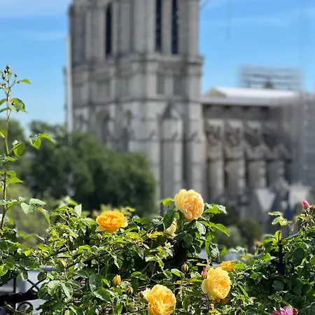 Appartamento Rooftop Garden Triplex With Ac Over Notre - Dame Parigi
