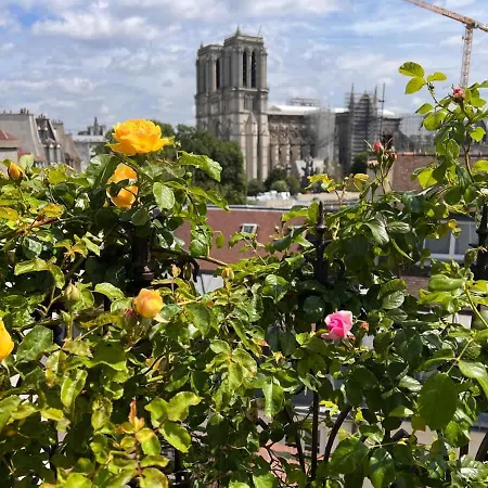 Rooftop Garden Triplex With Ac Over Notre - Dame * Parigi