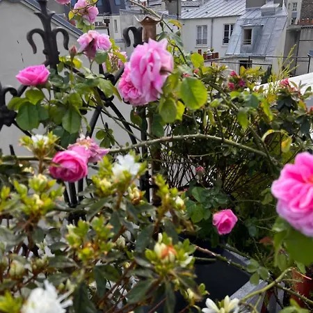 Rooftop Garden Triplex With Ac Over Notre - Dame Appartamento *
