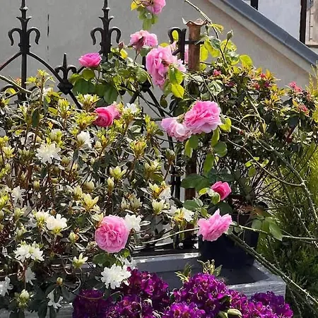 Rooftop Garden Triplex With Ac Over Notre - Dame Appartamento *