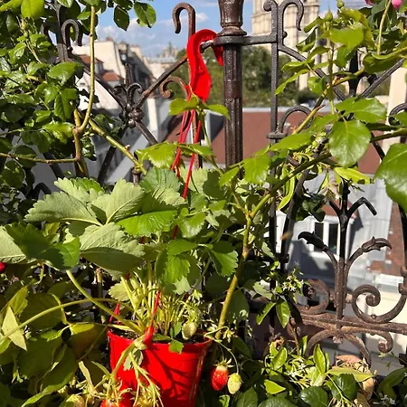 Rooftop Garden Triplex With Ac Over Notre - Dame Parigi