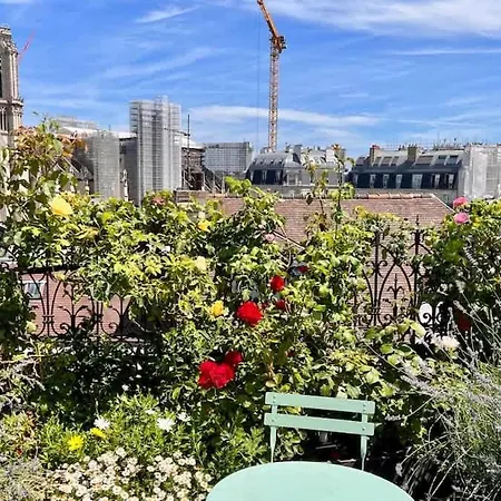 Appartamento Rooftop Garden Triplex With Ac Over Notre - Dame *