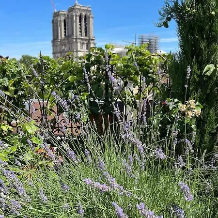Appartamento Rooftop Garden Triplex With Ac Over Notre - Dame Parigi